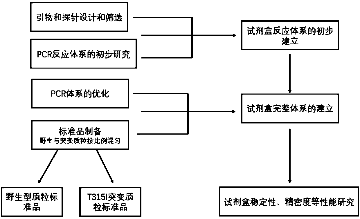 Human BCR/ABL gene T315I mutation detection and analysis