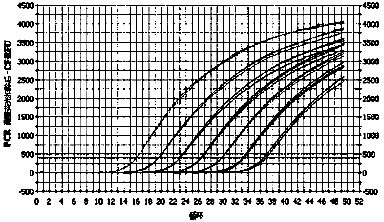 Human BCR/ABL gene T315I mutation detection and analysis