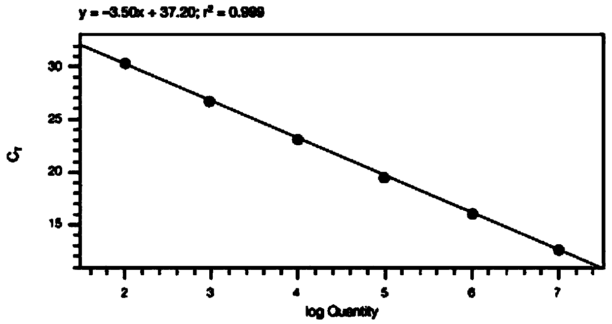 Human BCR/ABL gene T315I mutation detection and analysis