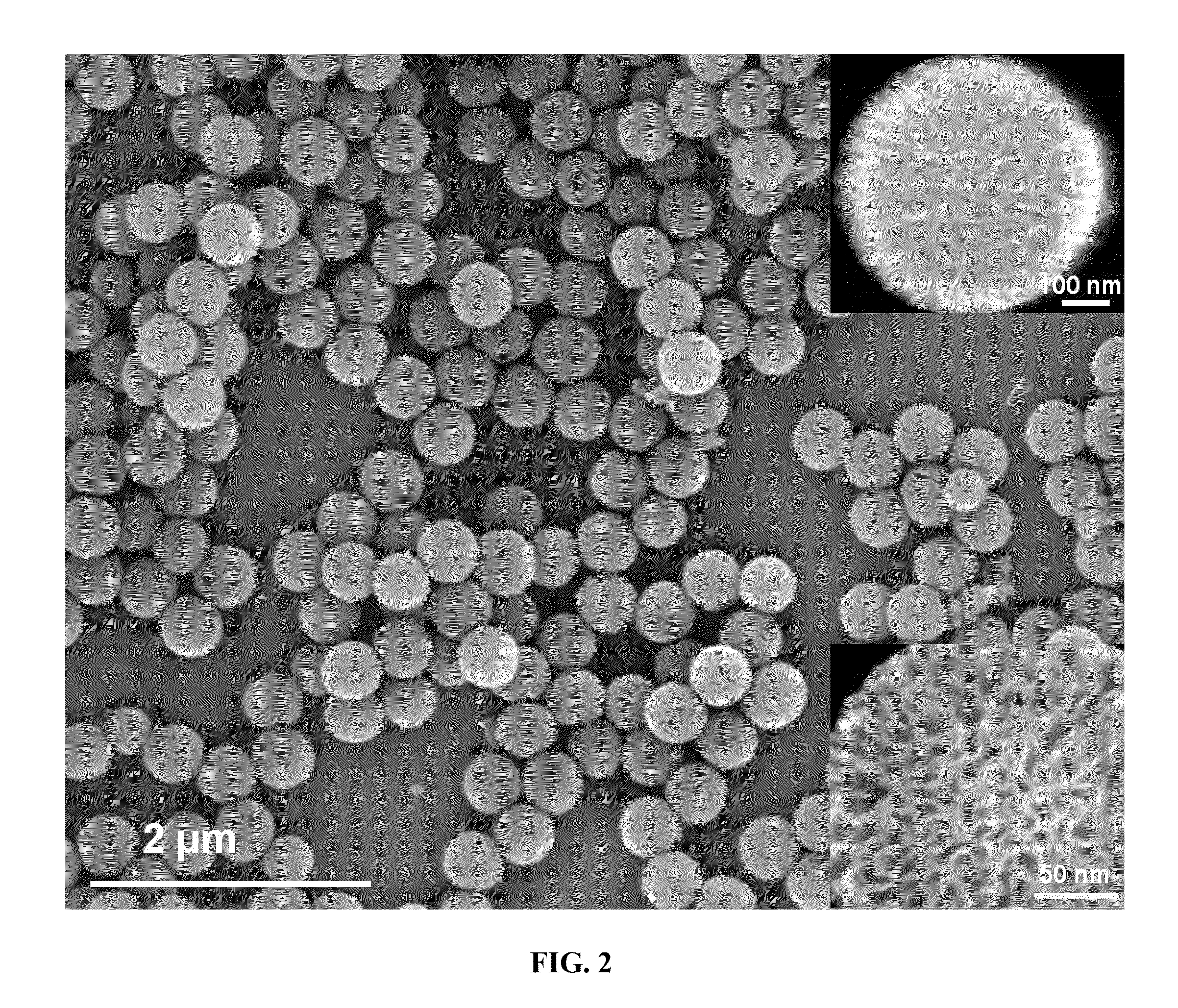 High surface area fibrous silica nanoparticles