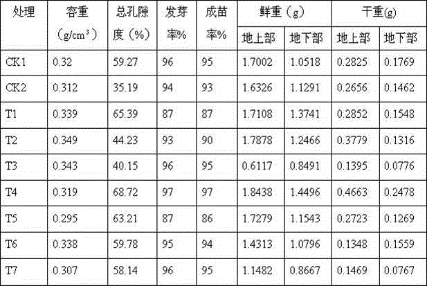 Special matrix for growing seedlings of tomatoes