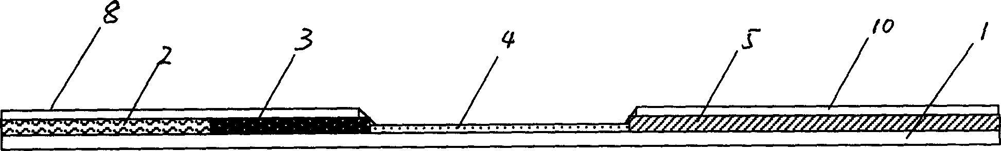 Reagent strip for determining antibody and antigen of swine circular virus II