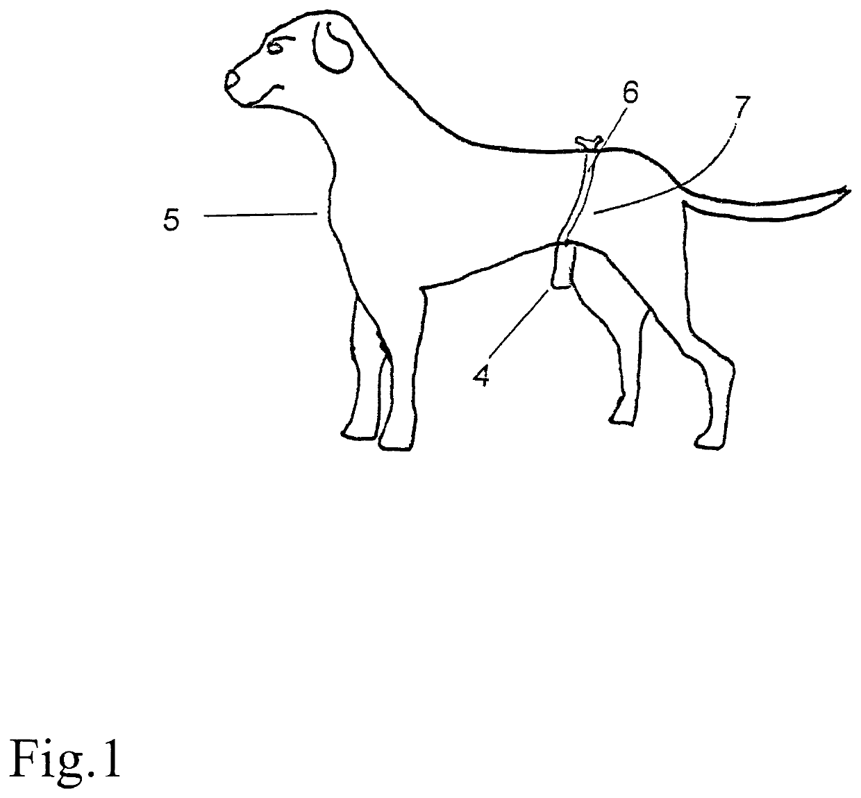 Animal urine and specimen collection device