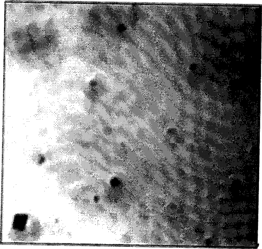 Automatic measurement method for separated-out particles in steel and morphology classification method thereof