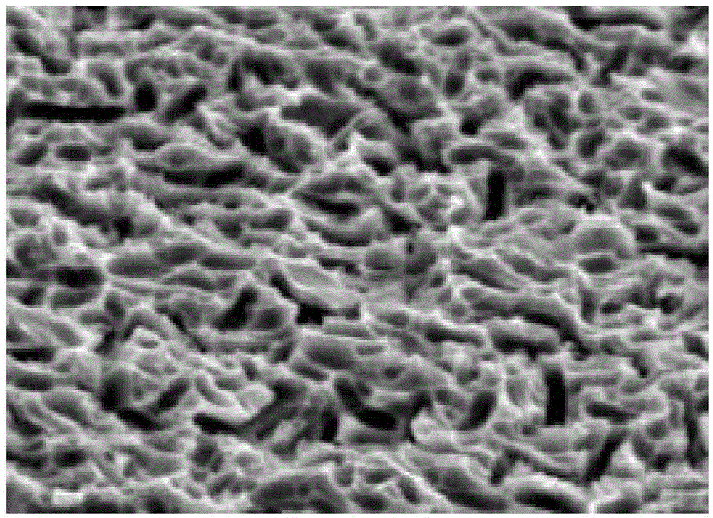 Polysilicon surface reverse pyramid structure and preparation method thereof