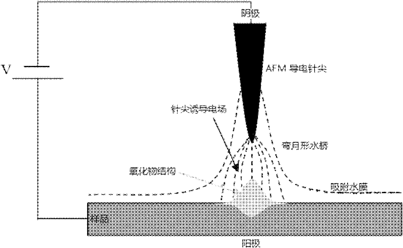 Preparation method of nano-imprint template in vector type AFM (atomic force microscopy) nano processing system