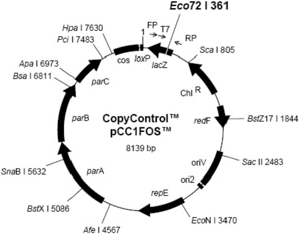 Recombined chicken Marek's disease virus vaccine strain for expressing Gag and Env genes of avian leukosis virus subgroup J and construction method and application of recombined chicken Marek's disease virus vaccine strain