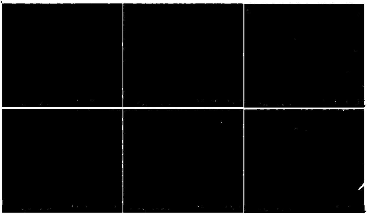 Method for electroless deposition of copper on aluminum oxide film