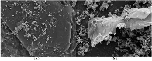 Graphene oxide/zinc oxide antistatic polypropylene cast film