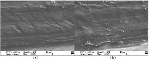 Graphene oxide/zinc oxide antistatic polypropylene cast film