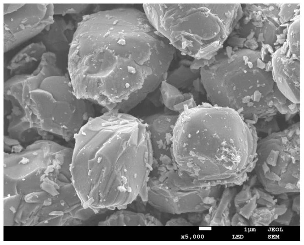 a zn doped vo  <sub>2</sub> Powder and method for preparing composite film by using the powder