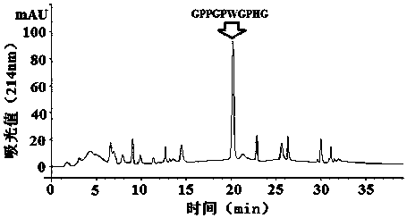 A hairtail fish bone iron chelated collagen peptide