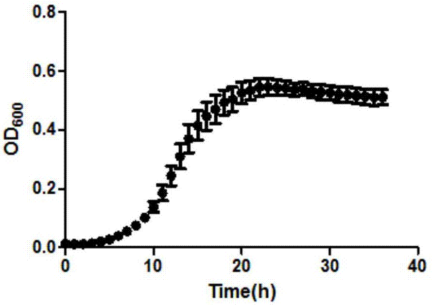 Lactobacillus reuteri having probiotic effect and resisting ETEC (Enterotoxigenic Escherichia Coli) and application