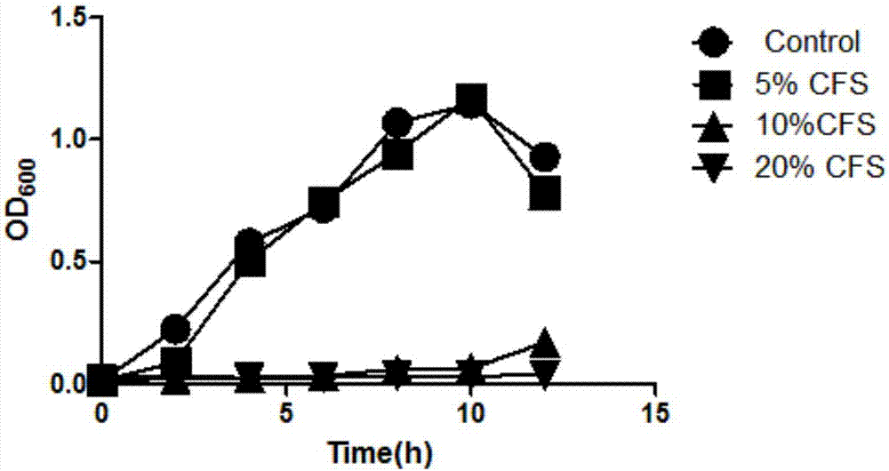 Lactobacillus reuteri having probiotic effect and resisting ETEC (Enterotoxigenic Escherichia Coli) and application