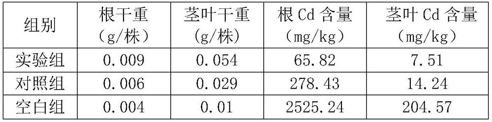 A kind of compound passivator of cadmium polluted soil and its application