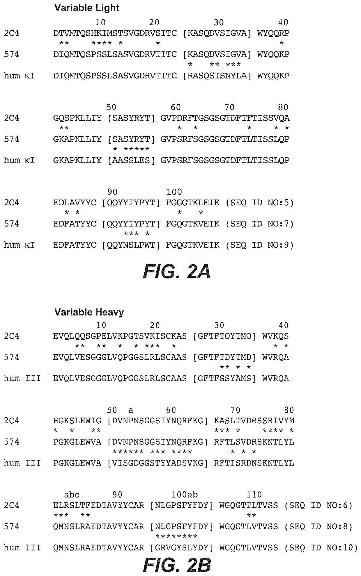 Adjuvant treatment of HER2-positive breast cancer