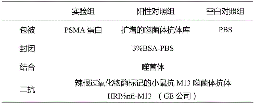 Single-domain heavy-chain antibody aiming at prostate specific membrane antigen