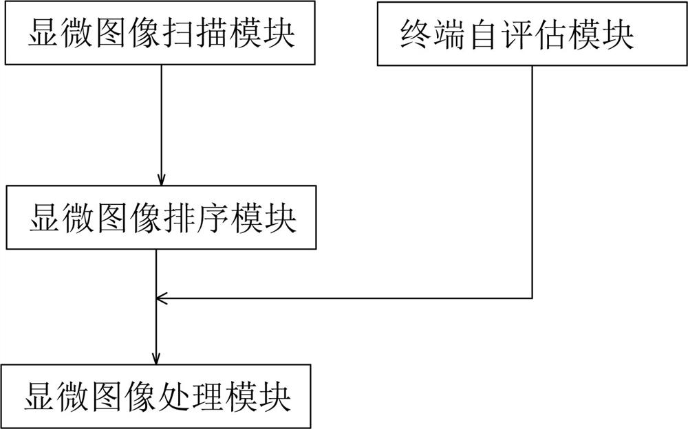 Microscopic image rapid processing system