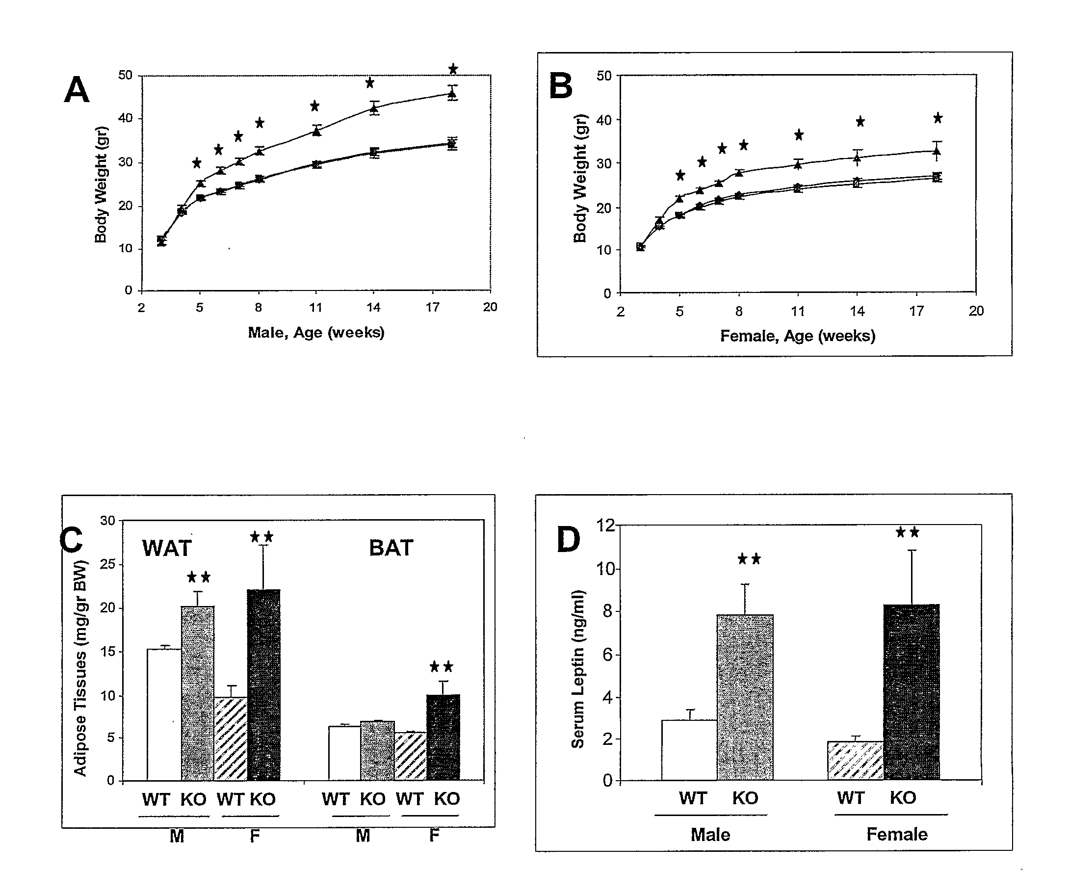 Modulators of Shp2 Tyrosine Phosphatase and Their Use in the Treatment of Body Weight Disorders