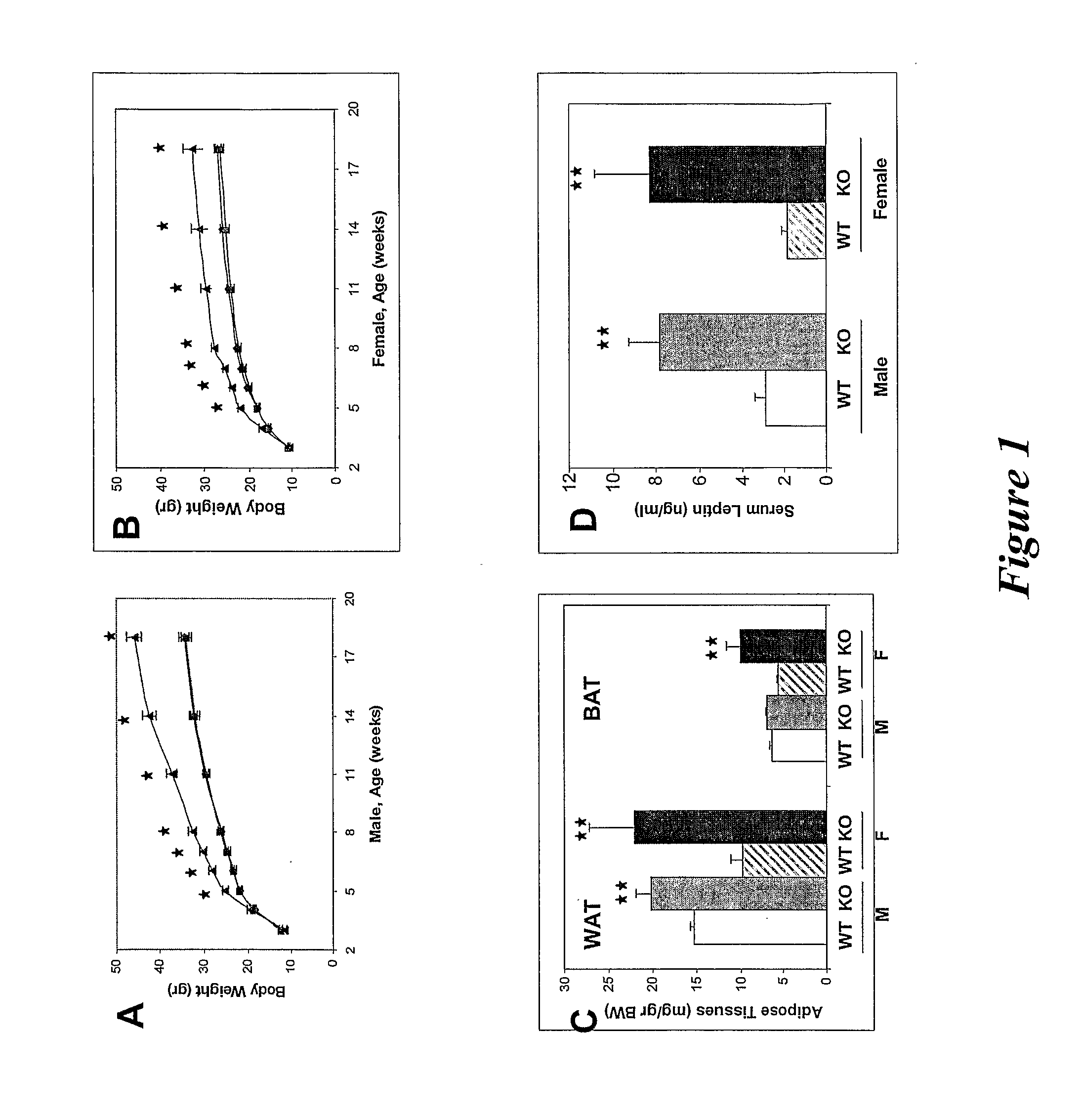 Modulators of Shp2 Tyrosine Phosphatase and Their Use in the Treatment of Body Weight Disorders