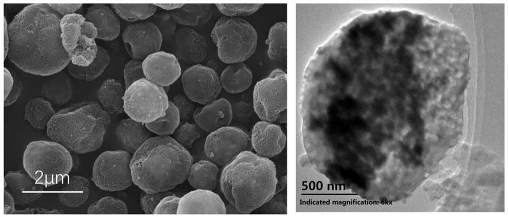 Tin oxide-hard carbon composite negative electrode material, and preparation method and application thereof