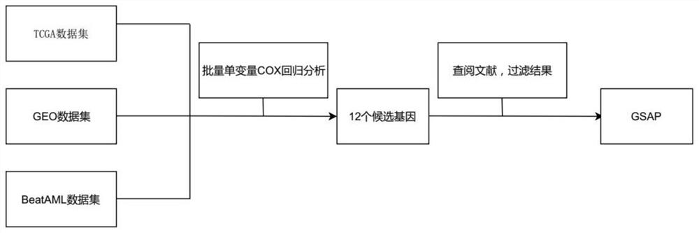 New application of gamma-secretase activated protein gene and/or protein coded by gamma-secretase activated protein gene