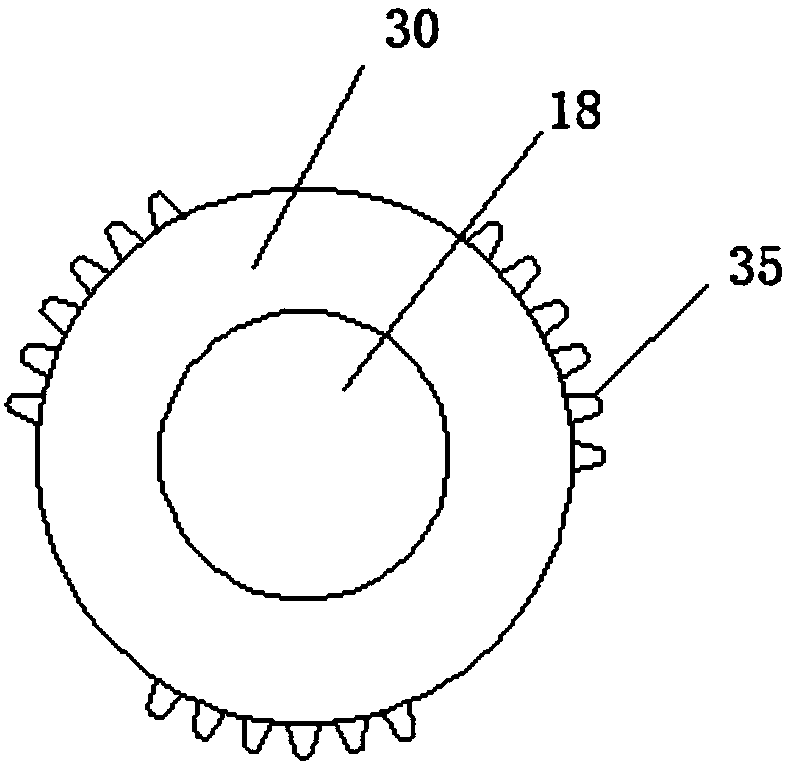 Automatic feeding and discharging dehydration device of vegetables and fruits