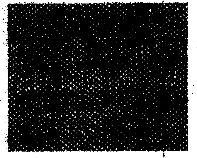 Method for simulating influence of heating technology on premelting and melting of crystal boundaries by aid of crystal phase-field process