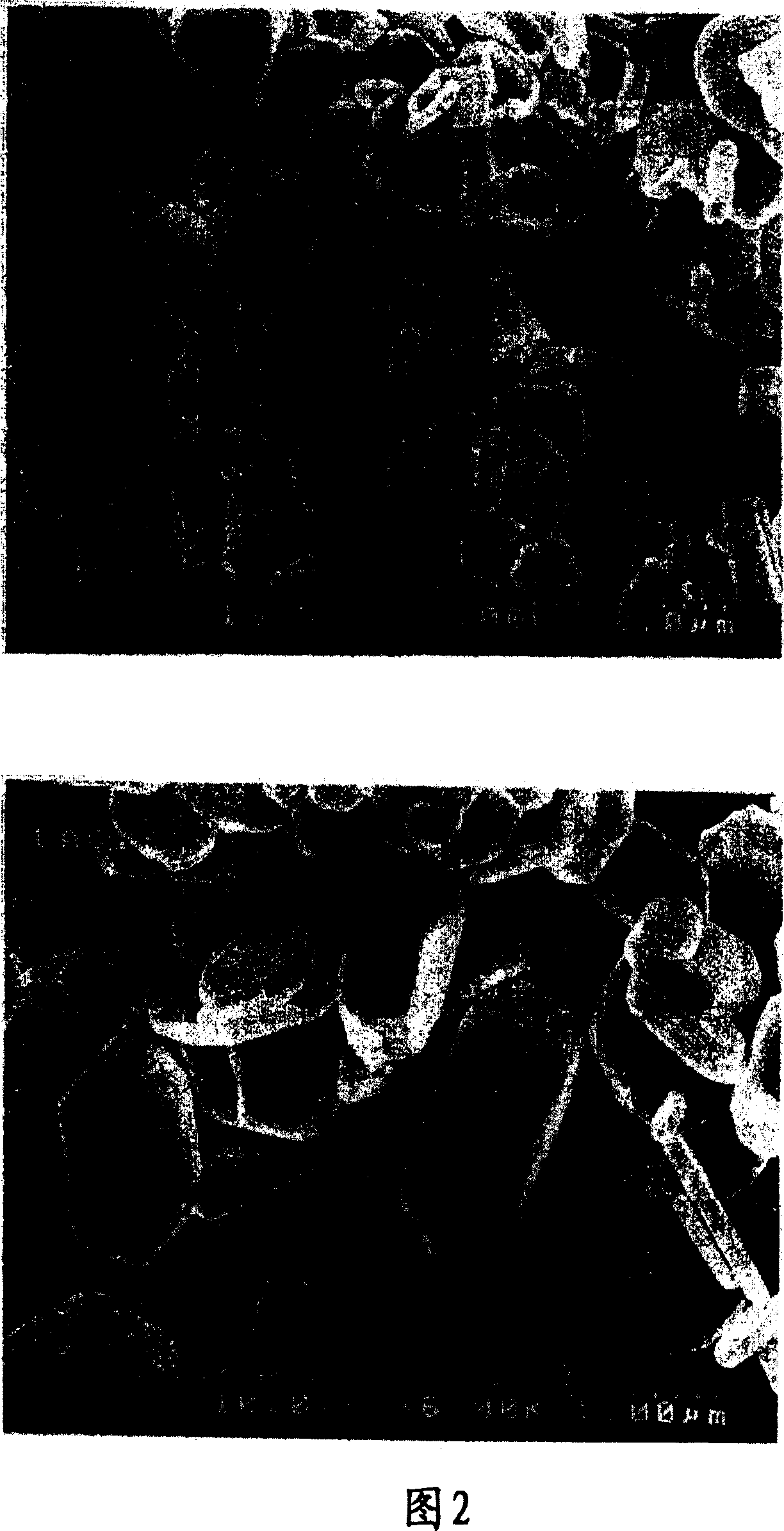 Stable green fluorescence powder and plasma displaying panel using the same