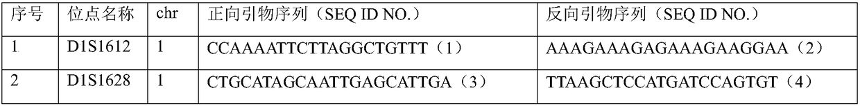 Individual recognition system based on next generation sequencing and kit and application of kit