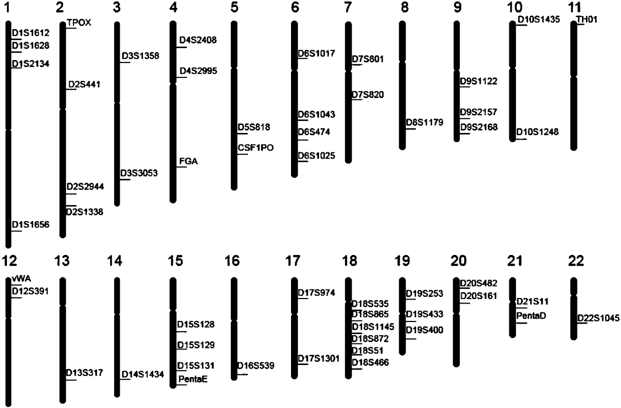 Individual recognition system based on next generation sequencing and kit and application of kit