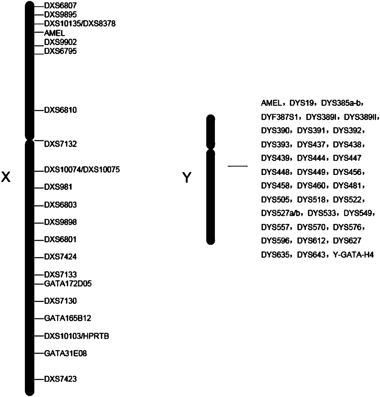 Individual recognition system based on next generation sequencing and kit and application of kit