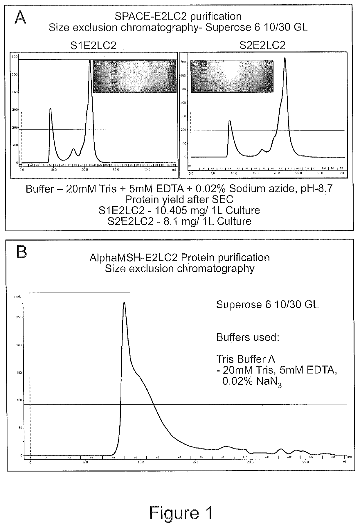 Targeting of melanocytes for delivering therapeutic or diagnostic agents using protein nanocages