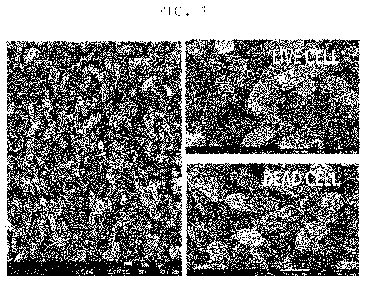 Lactobacillus salivarius CJLS1511, animal feed additive composition comprising same bacterium or dead cells thereof, and method for producing same dead cells