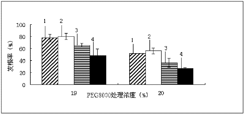 Fast screening method of drought-tolerant rice