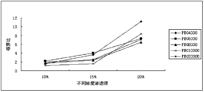 Fast screening method of drought-tolerant rice