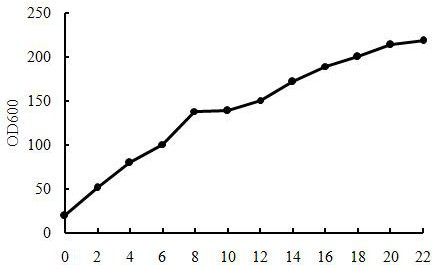 Method for preparing semeglutide precursor through high-density fermentation