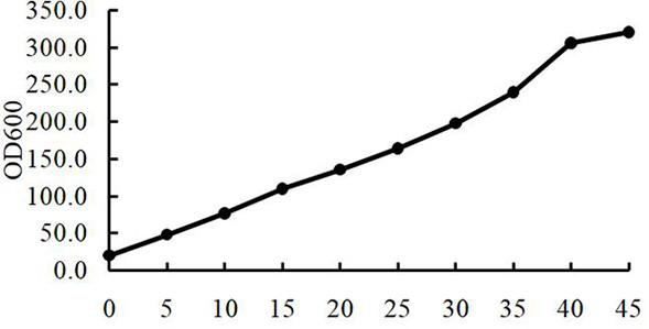 Method for preparing semeglutide precursor through high-density fermentation