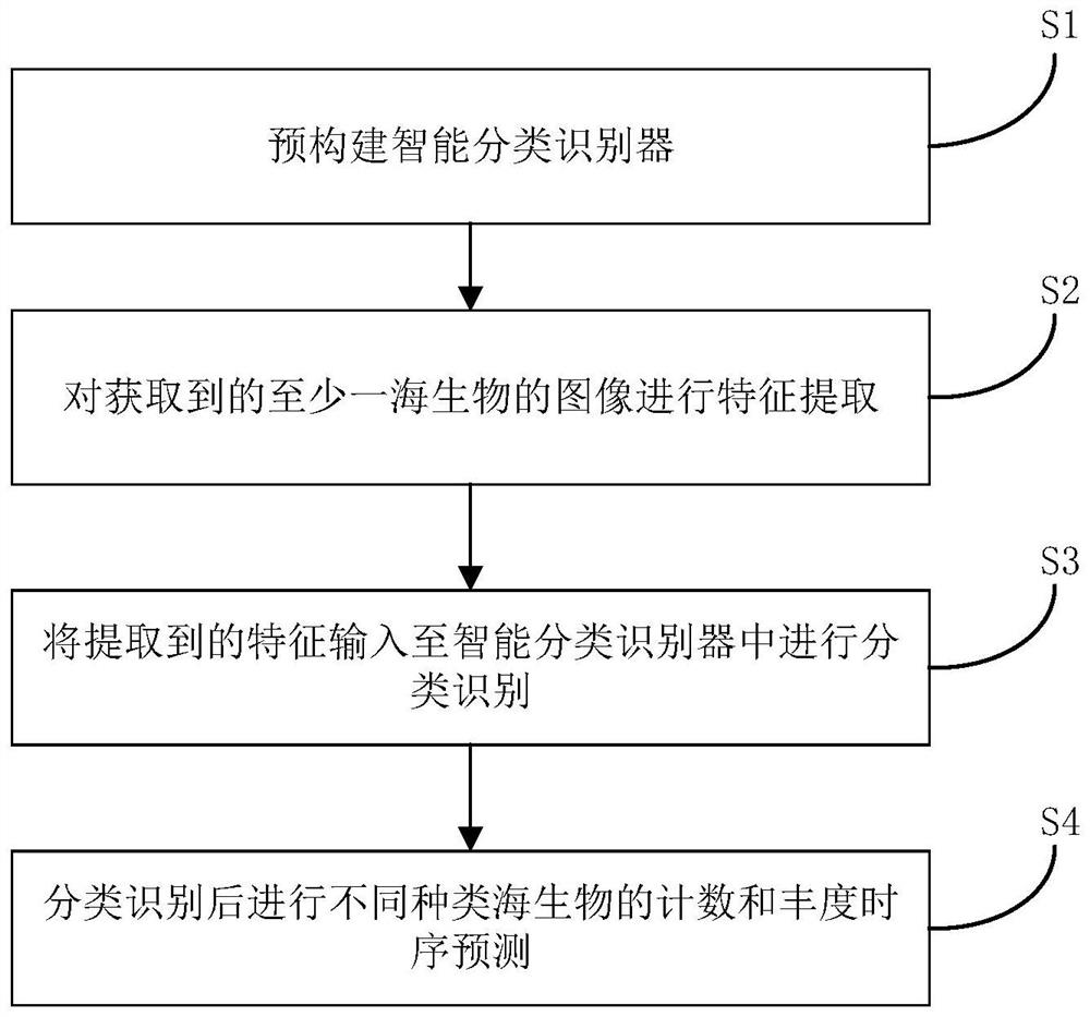 Nuclear power plant cold source marine organism intelligent detection method and system