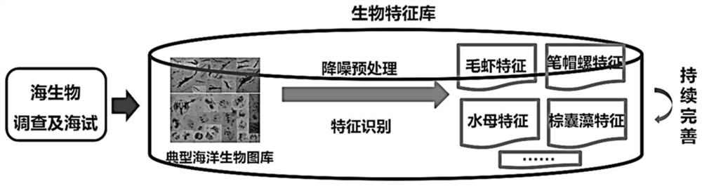 Nuclear power plant cold source marine organism intelligent detection method and system