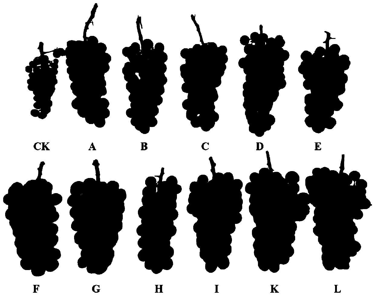 Regulation and control method for improving fruit quality of summer black grapes