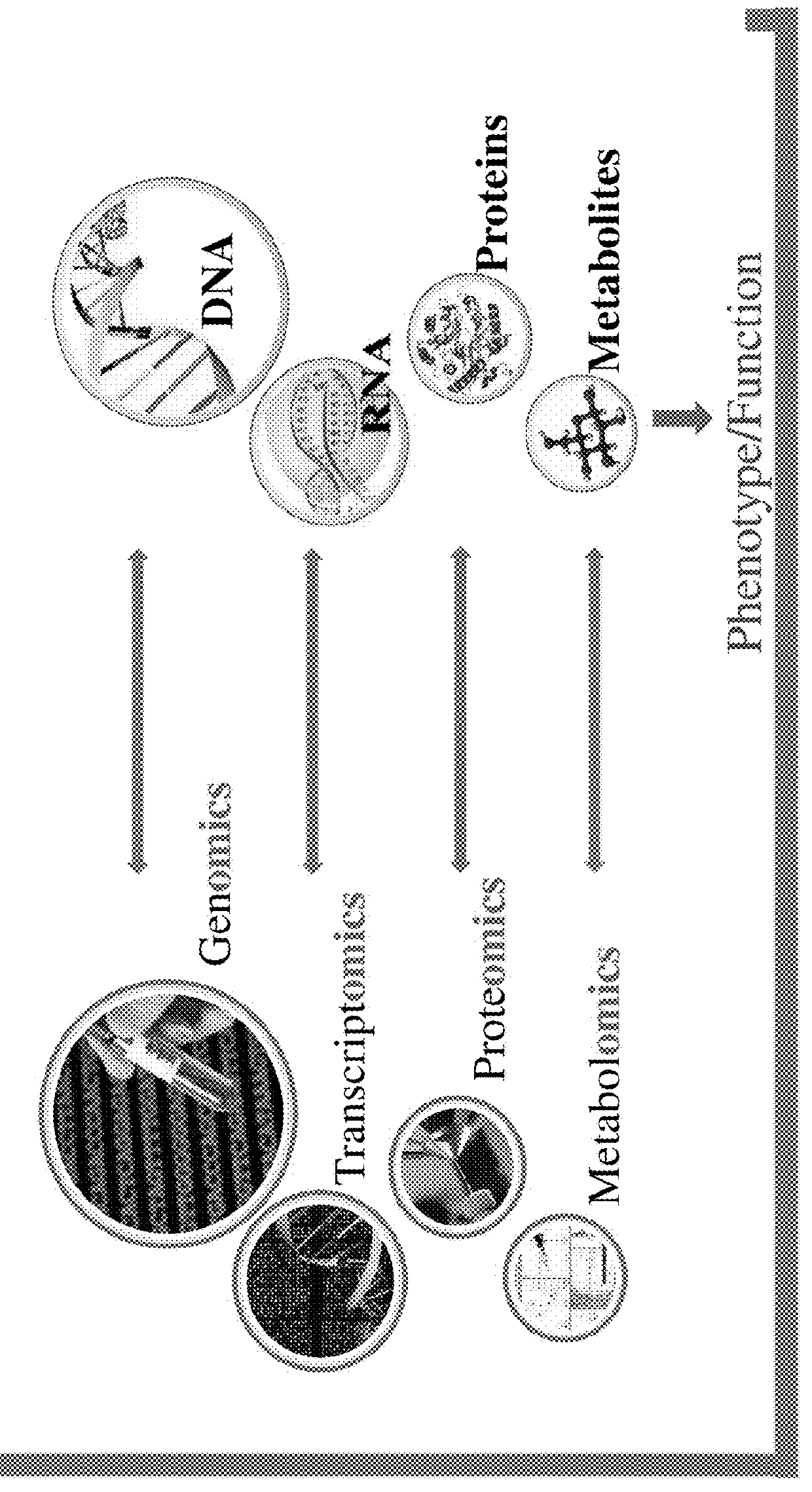 Compositions and methods for diagnosis and treatment of pervasive developmental disorder