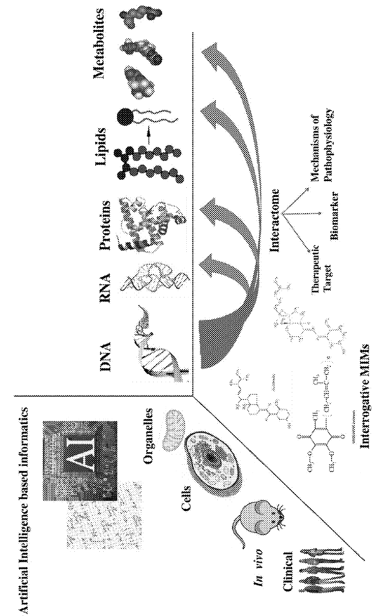 Compositions and methods for diagnosis and treatment of pervasive developmental disorder