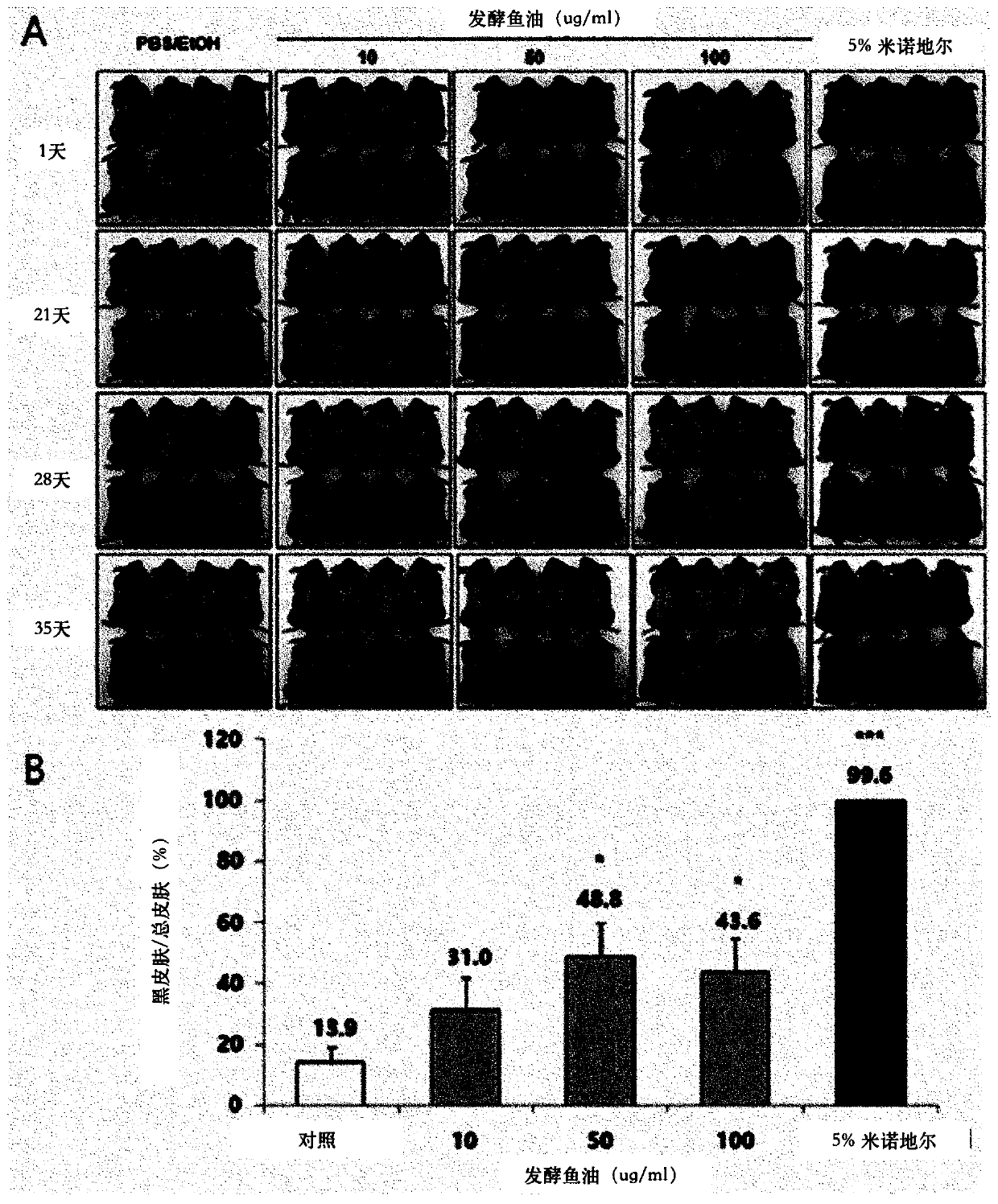 Composition for preventing hair loss and promoting hair growth, comprising fermented marine animal products