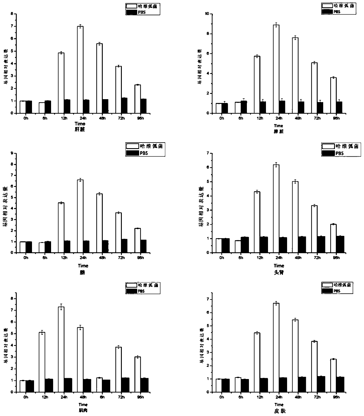 Large yellow croaker scavenger receptor SCARA3 gene and application thereof