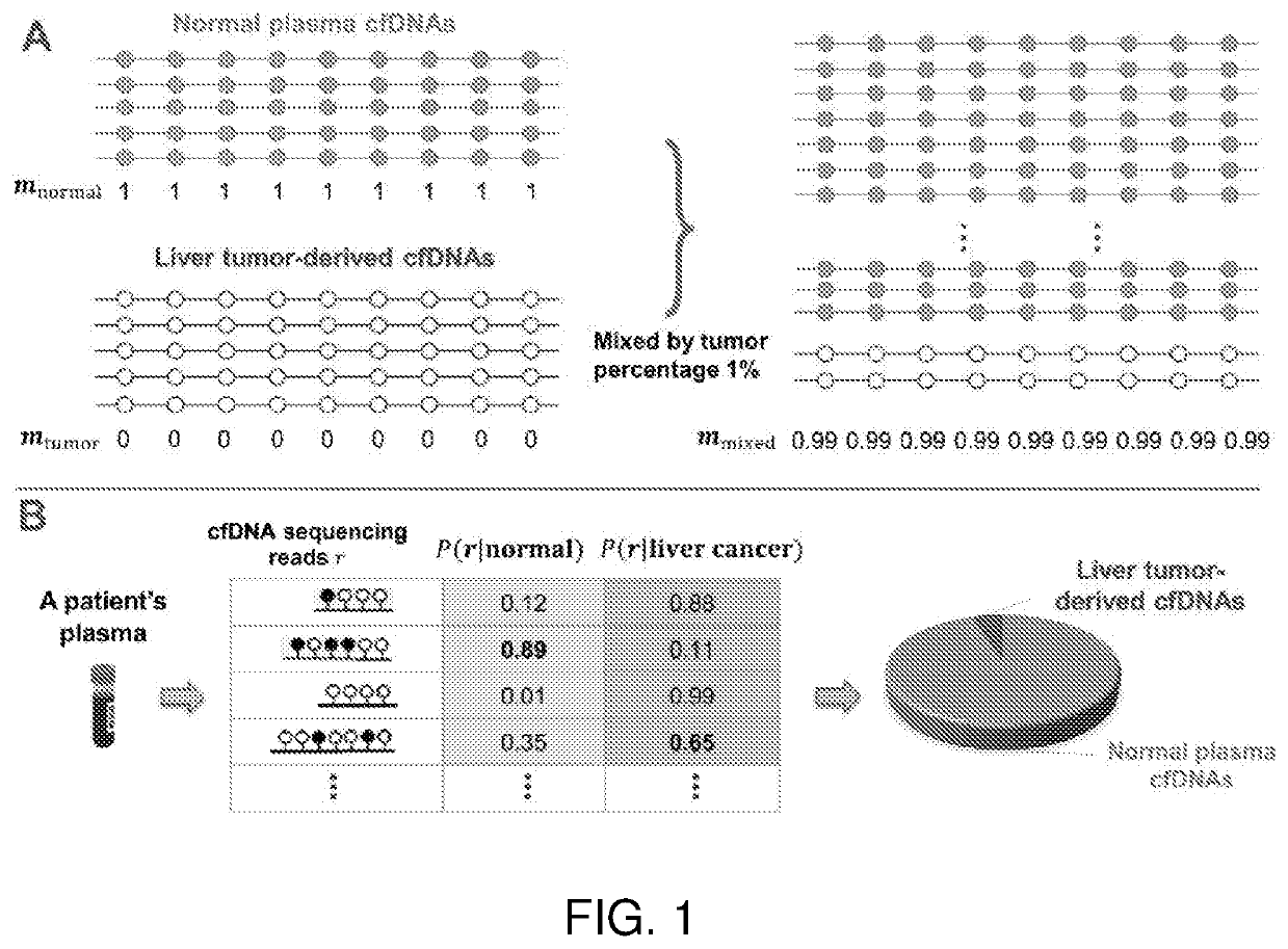 Cell-free DNA methylation patterns for disease and condition analysis