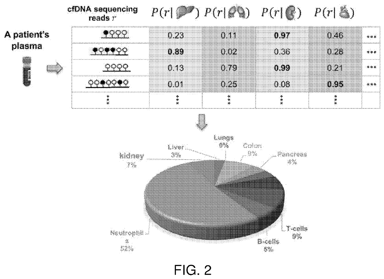 Cell-free DNA methylation patterns for disease and condition analysis