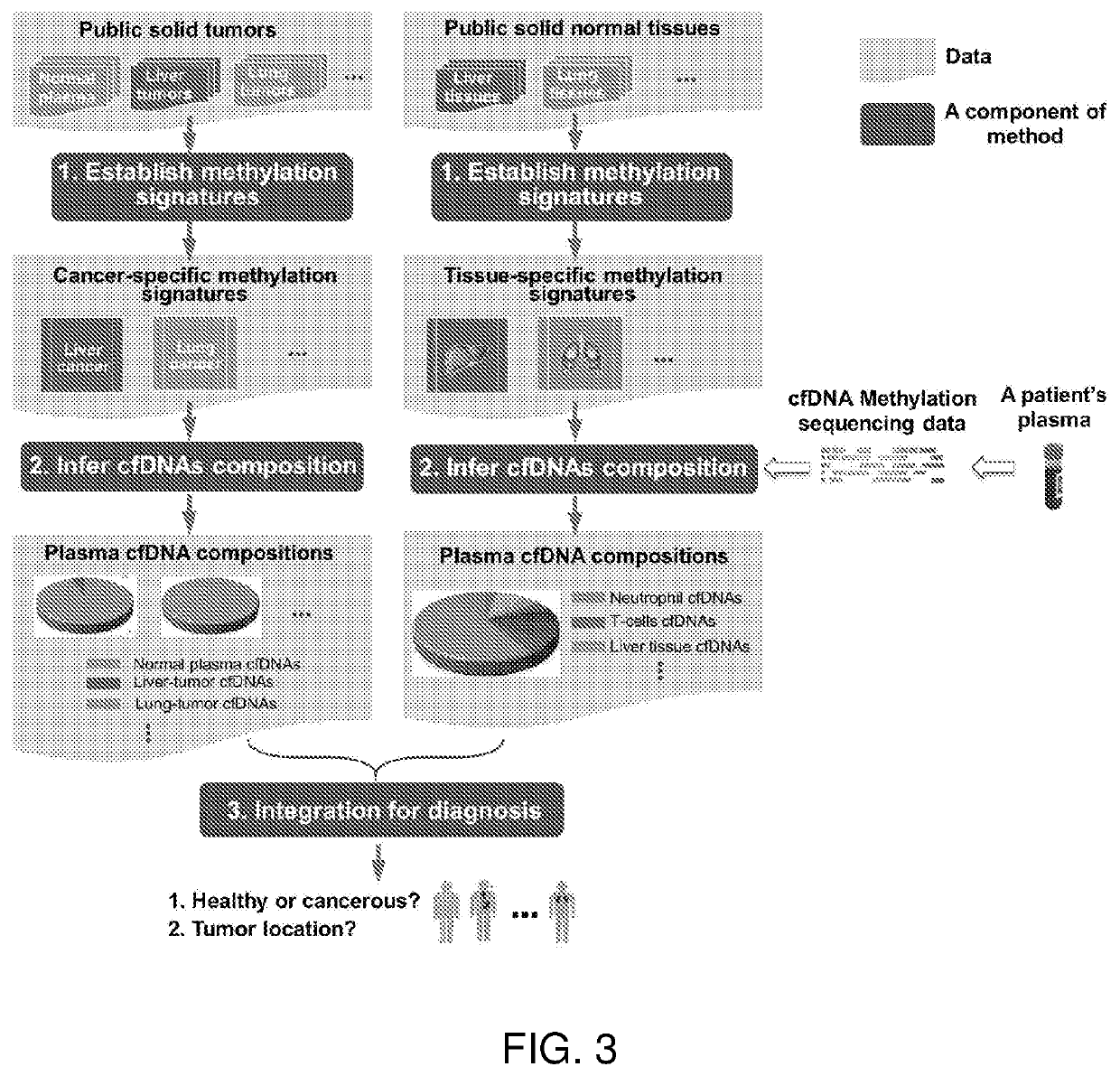 Cell-free DNA methylation patterns for disease and condition analysis