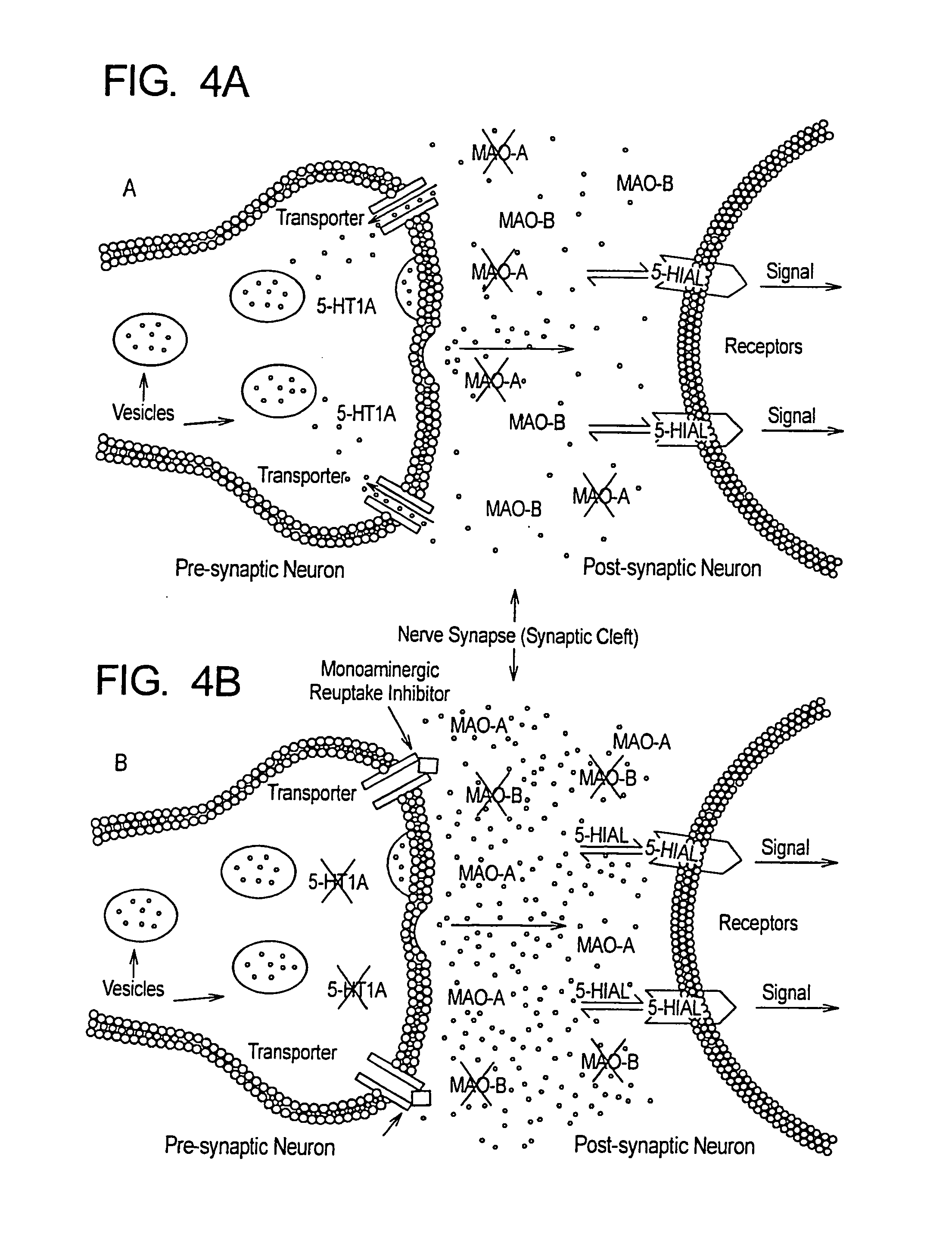 Method for treament of neurologic dysfunction