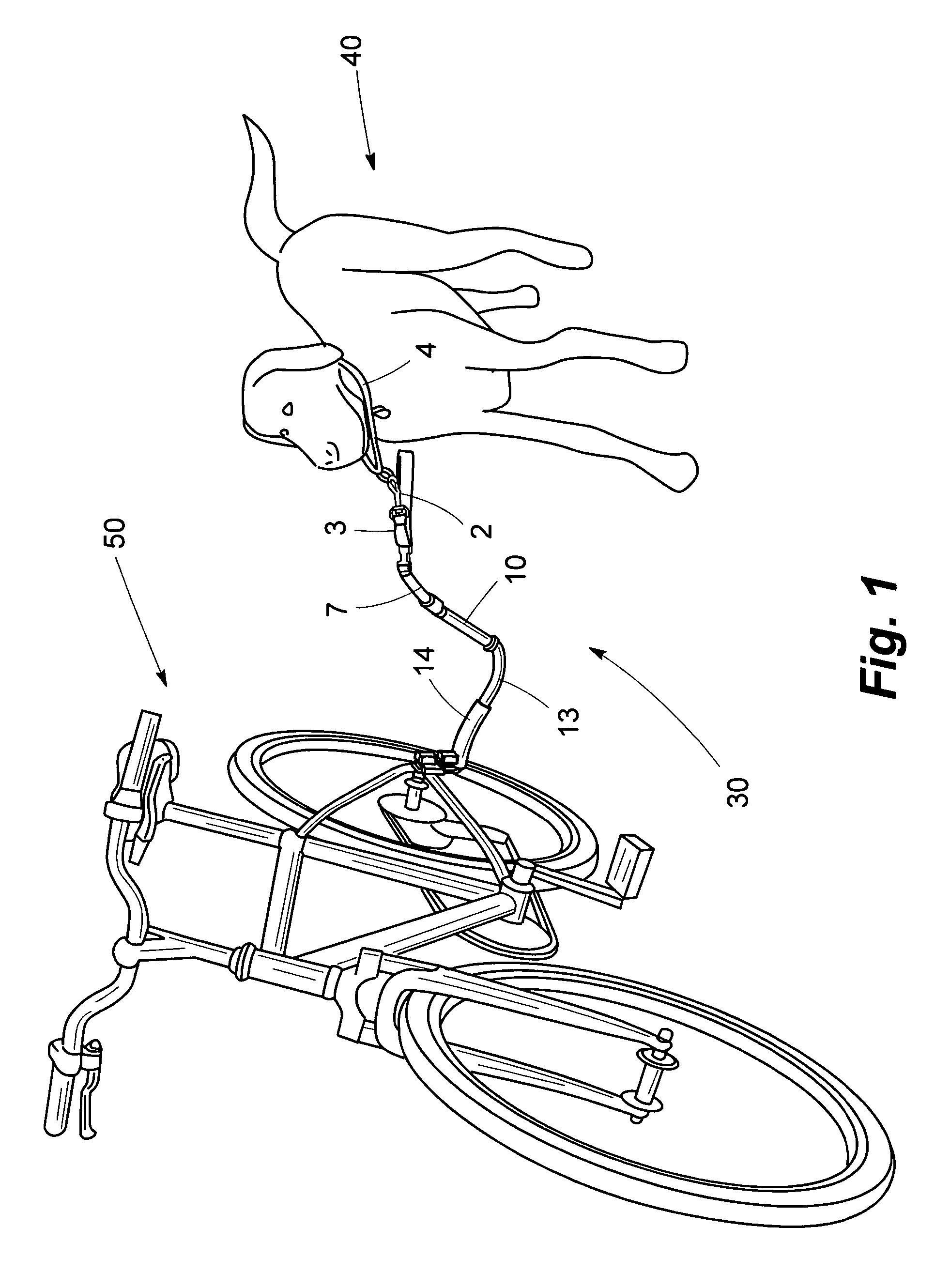 Dog leash for use on bicycle